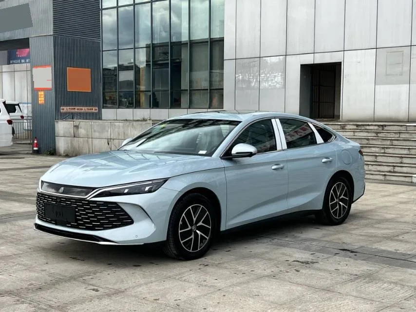Qin L 2024 DM-i 120KM Super Edition