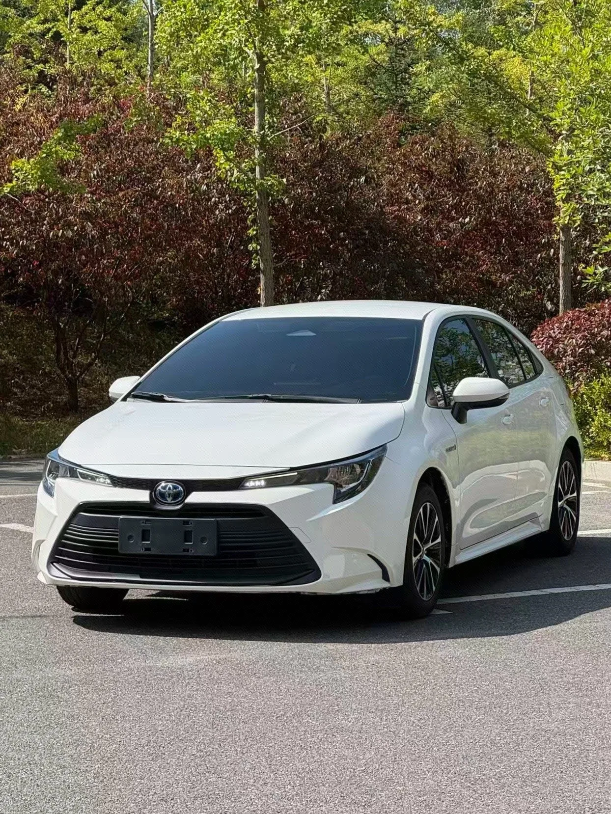 Toyota 2023 Corolla Hybrid 1.8 CVT Intelligent Electric Hybrid Leading Edition Automatic Transmission