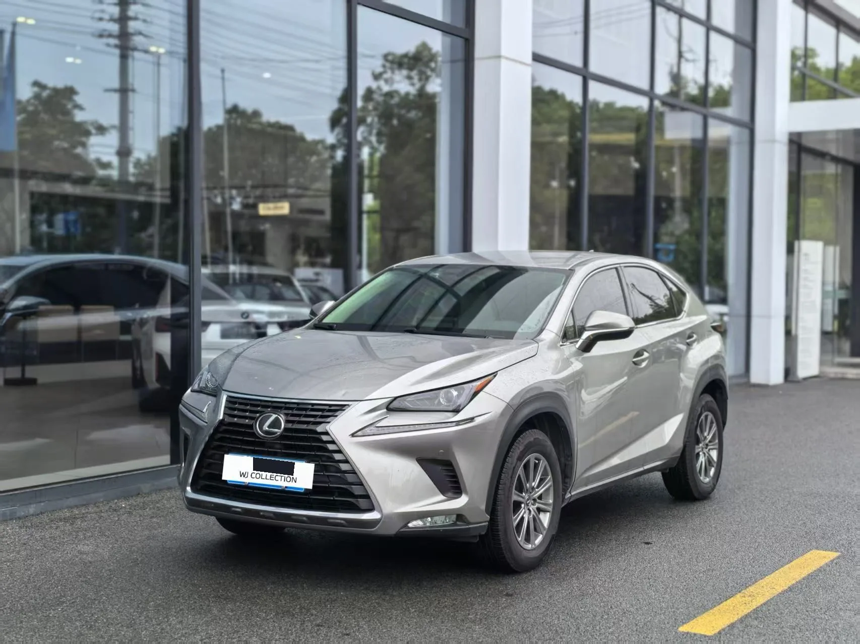 2020 Lexus NX 200 FWD "Fengxing" Edition, China V Emission Standard