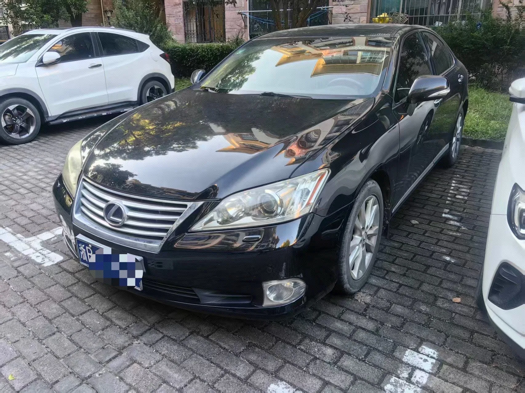 Lexus ES 2010 240 Elegant Edition