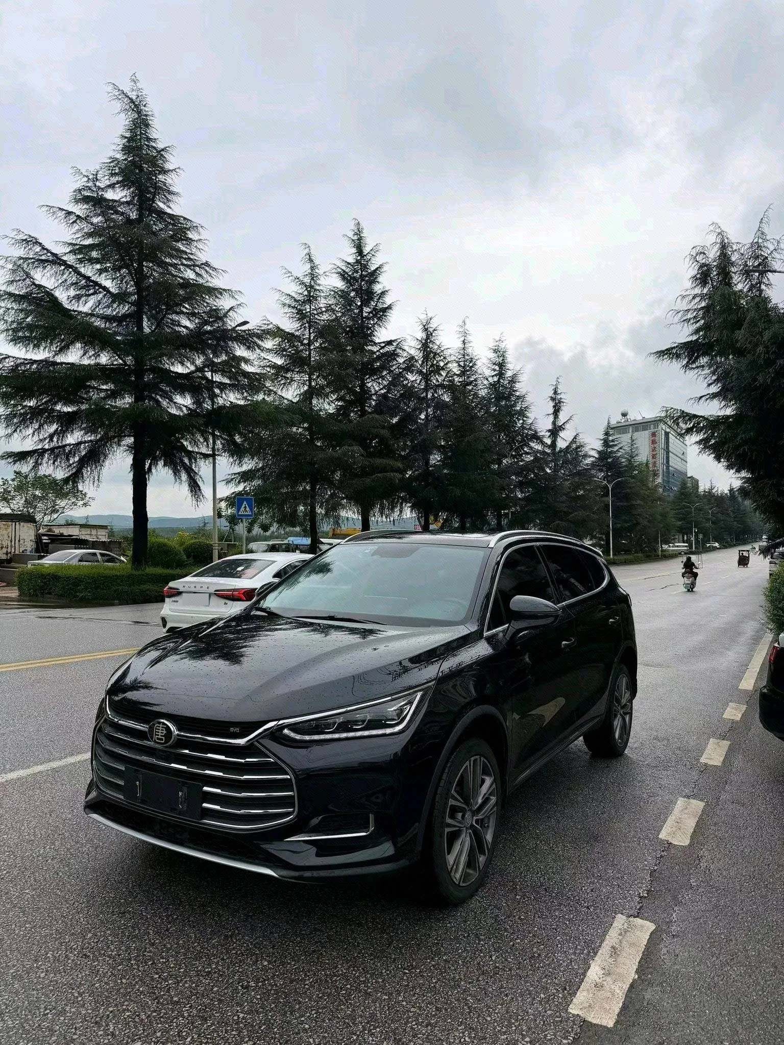 Tang 2018 Model Year 2.0T Automatic Smart Connect Premium Edition 7-Seater National V
