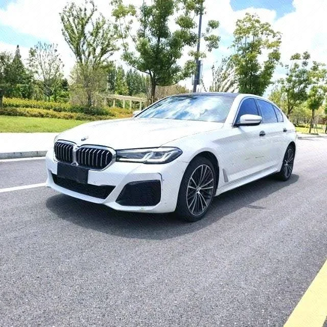 BMW 5 Series 2021 530Li Leading Luxury Package