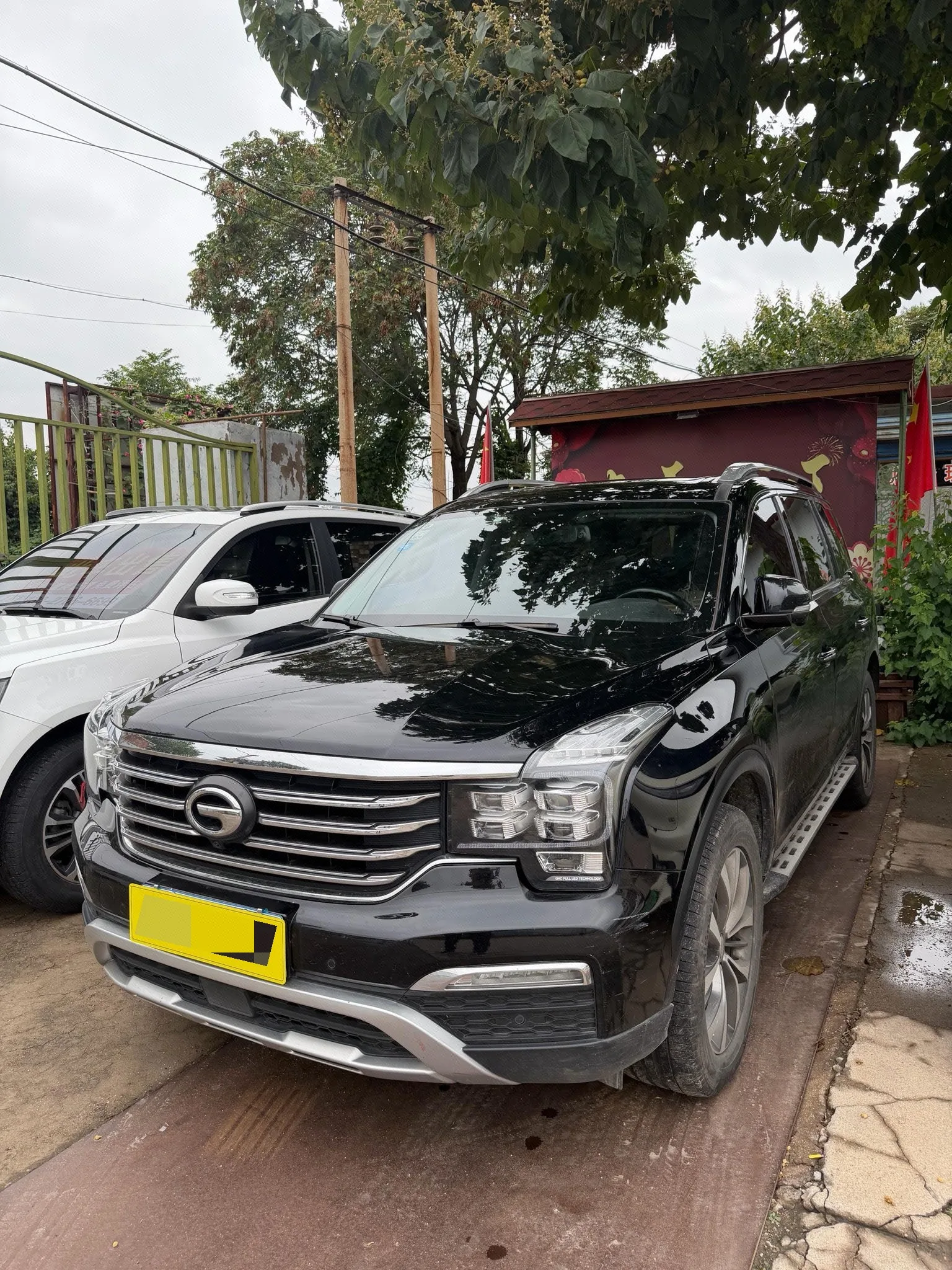 GAC GS8 2017 Model Year 320T Front-Wheel Drive Premium Edition (7-Seater)