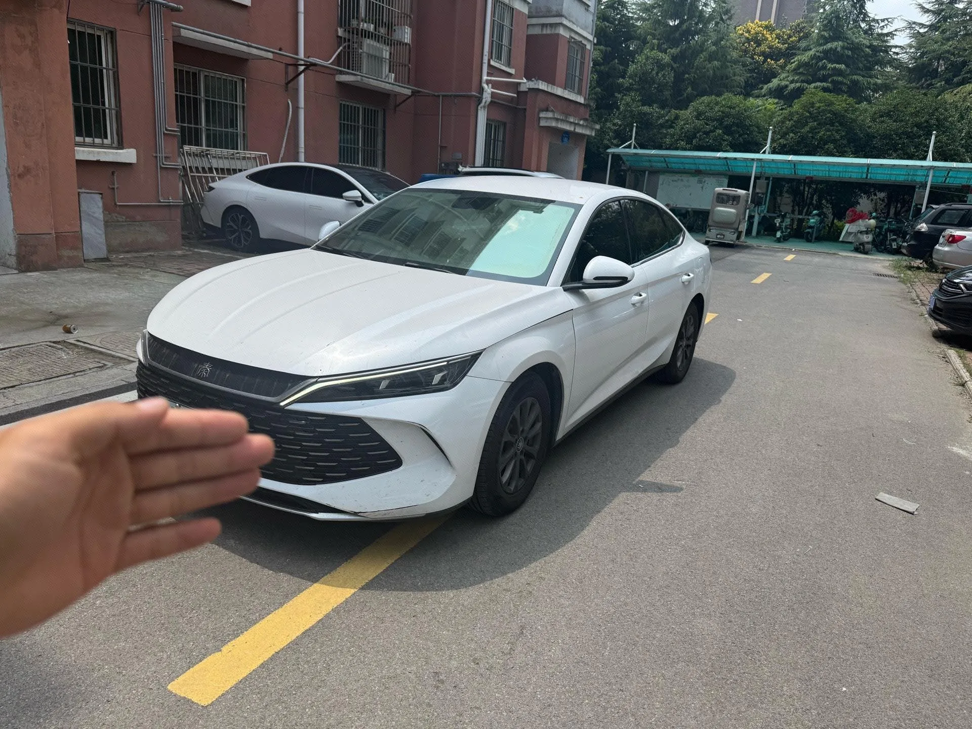 Qin L 2024 DM-i 80KM Leading Edition