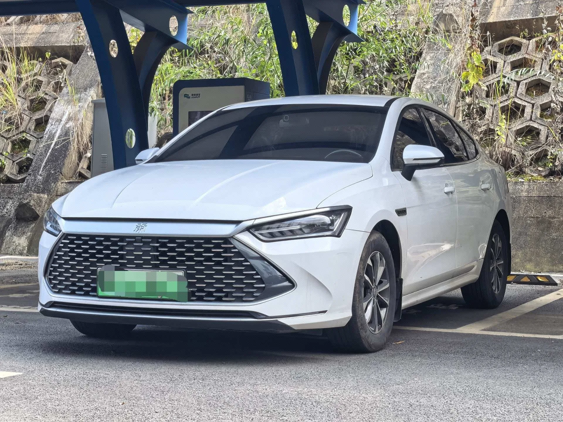 BYD 2023 Qin PLUS DM-i 1.5 CVT Champion Edition Leading Model 55KM Automatic