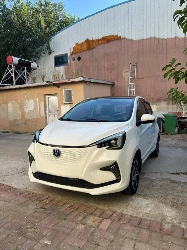 Changan 2023 Benben E-Star "Captivating Edition" "Colorful" Model, Lithium Iron Phosphate Battery, Automatic Transmission