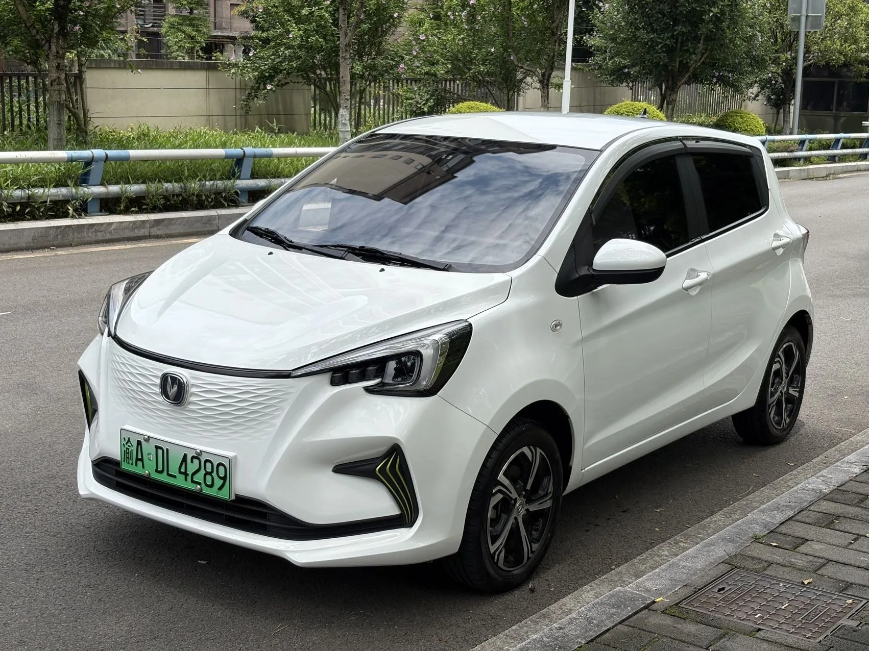 Benben E-Star 2022 Model, Refreshing Edition, Colorful Edition, Lithium Iron Phosphate