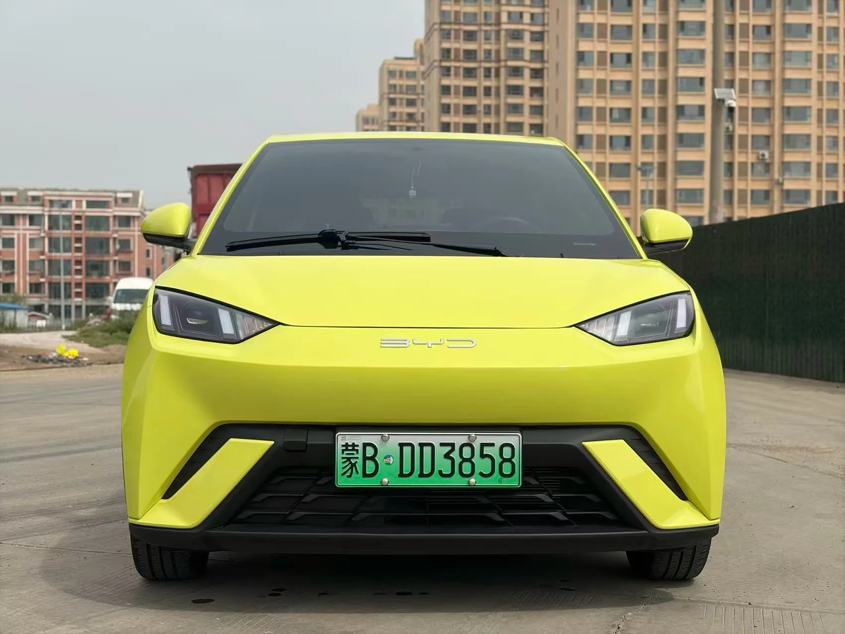 BYD 2023 Seagull Vitality Edition Automatic