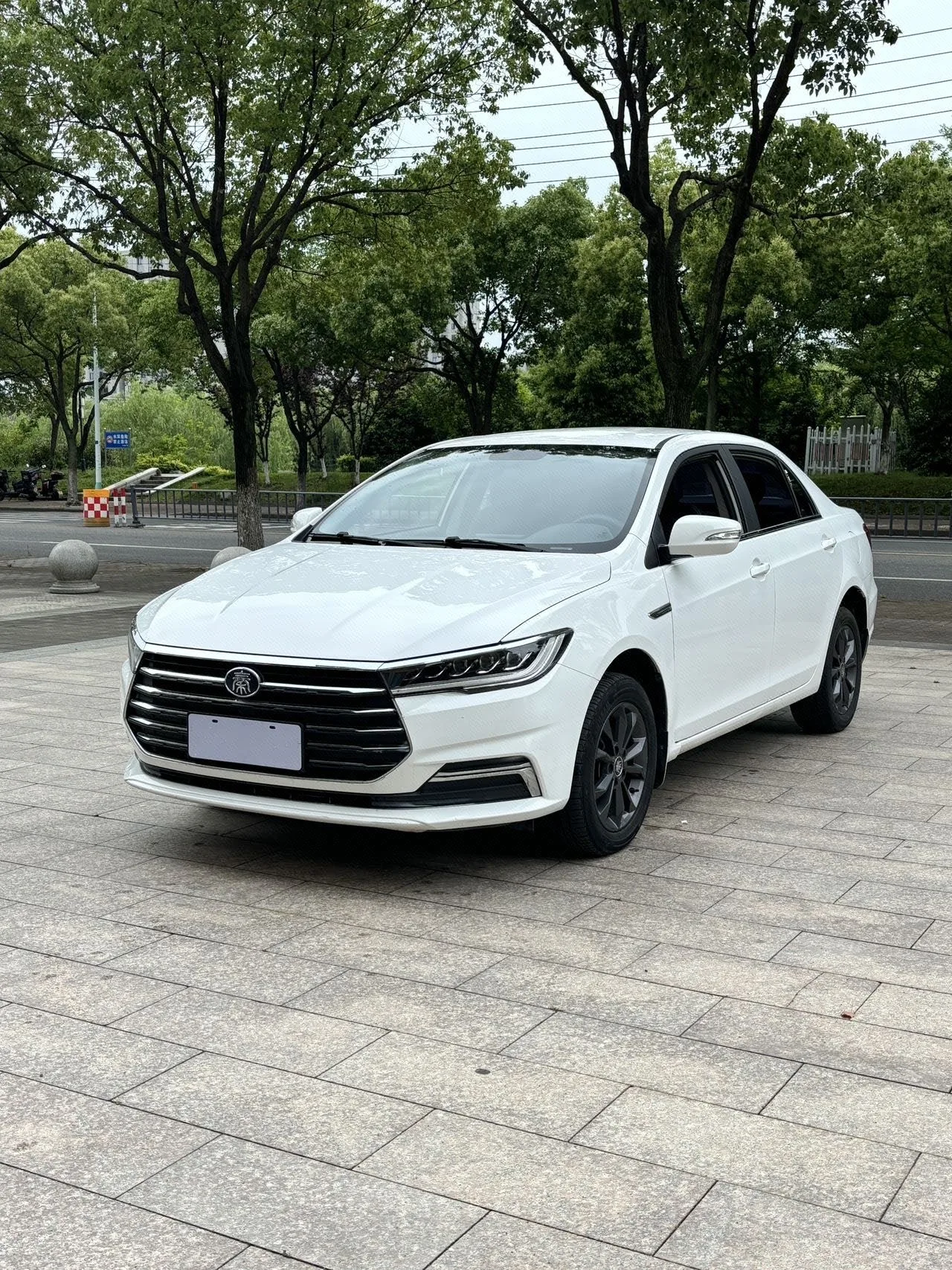 Qin 2019 1.5L Automatic Premium Edition