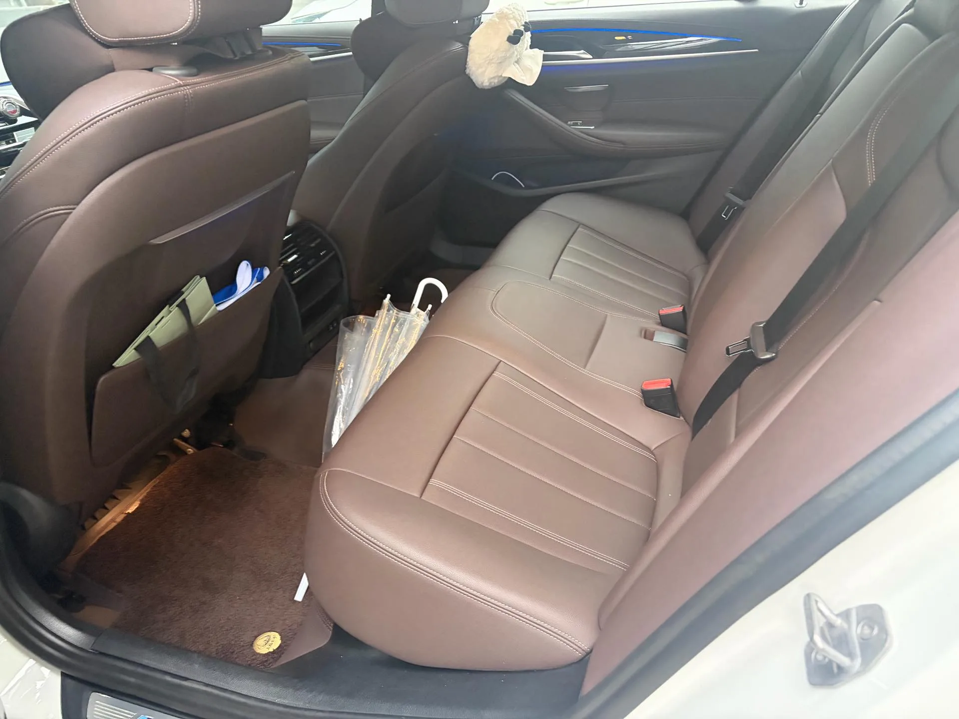 2020 BMW 5 Series 525Li M Sport Package