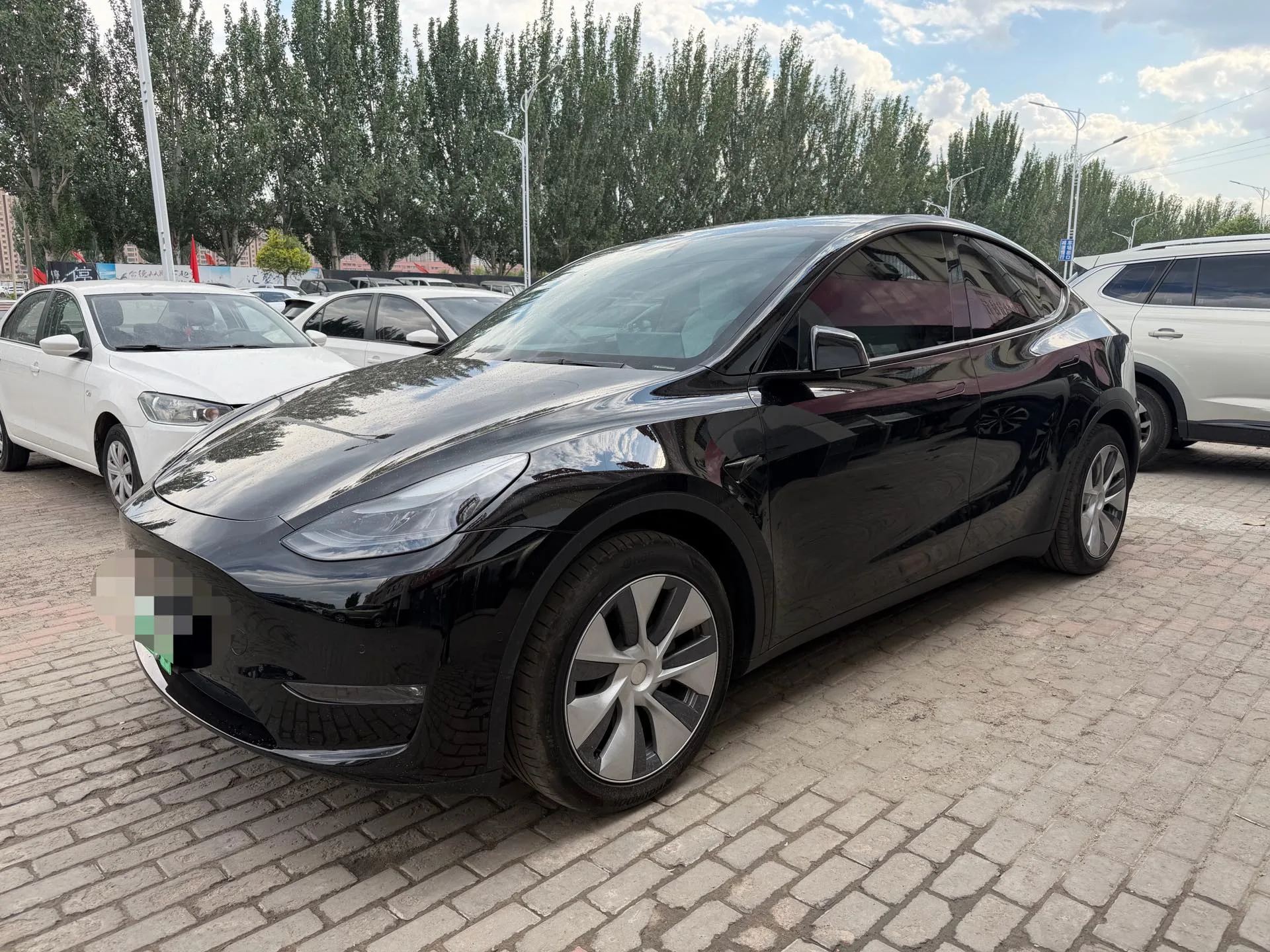 Model Y 2021 Standard Range Rear-Wheel Drive