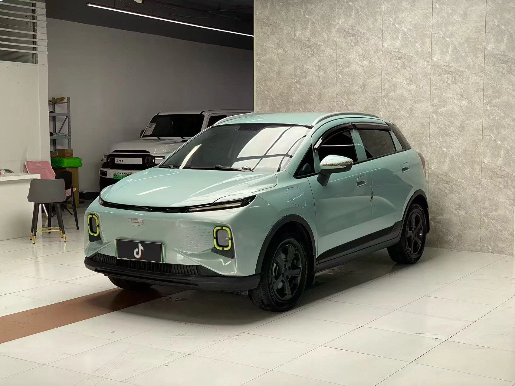 Geometry E 2022 Model, 320KM, "Well-Behaved Tiger," 4-Seater