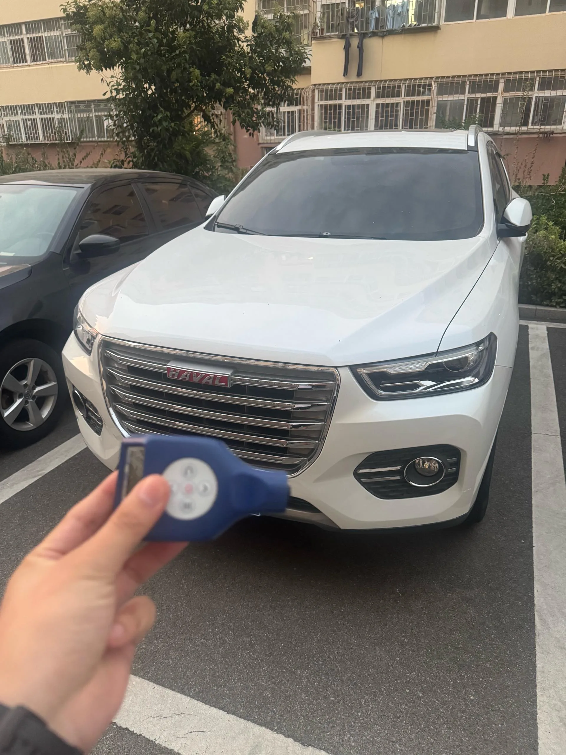 2017 Haval H6 Red Label 2.0T Automatic Front-Wheel Drive Fashion Edition