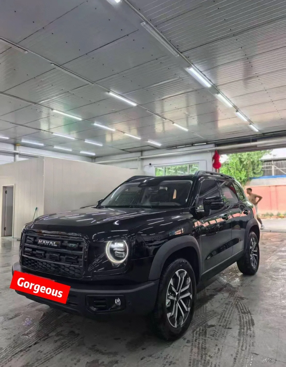 Haval 2026 Big Dog 1.5T Border Collie Edition Automatic