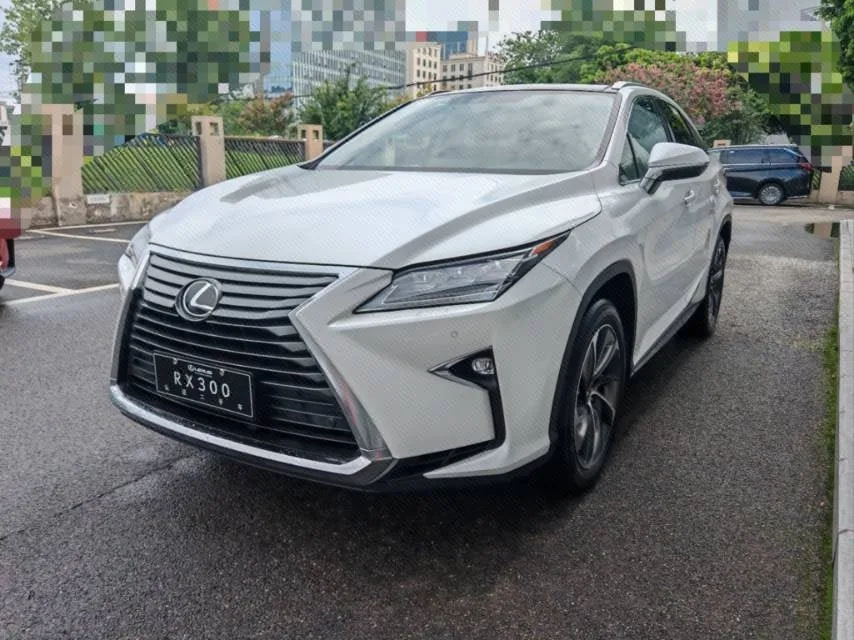 2017 Lexus RX 300 Mark Levinson AWD F SPORT Edition (China V Emission Standard)