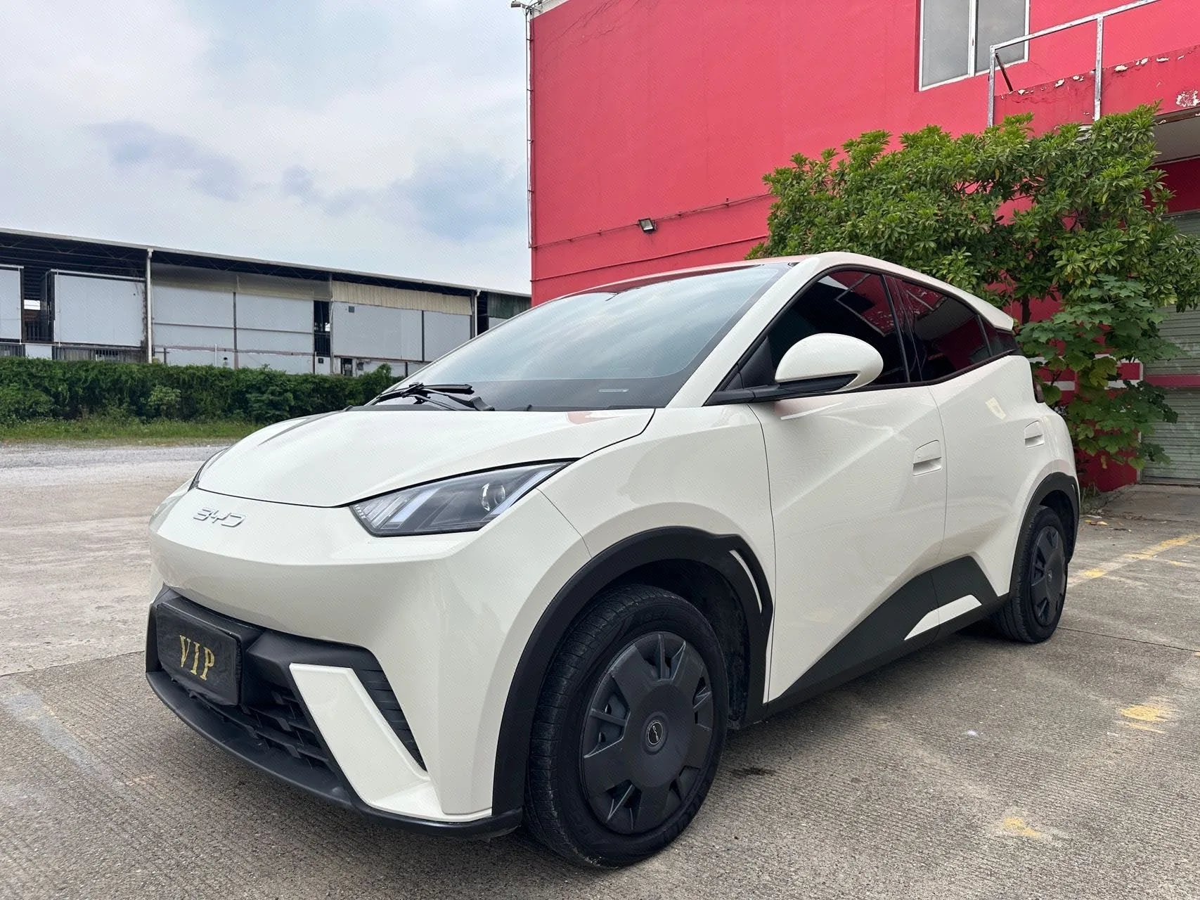 BYD 2023 Seagull Vitality Edition Automatic