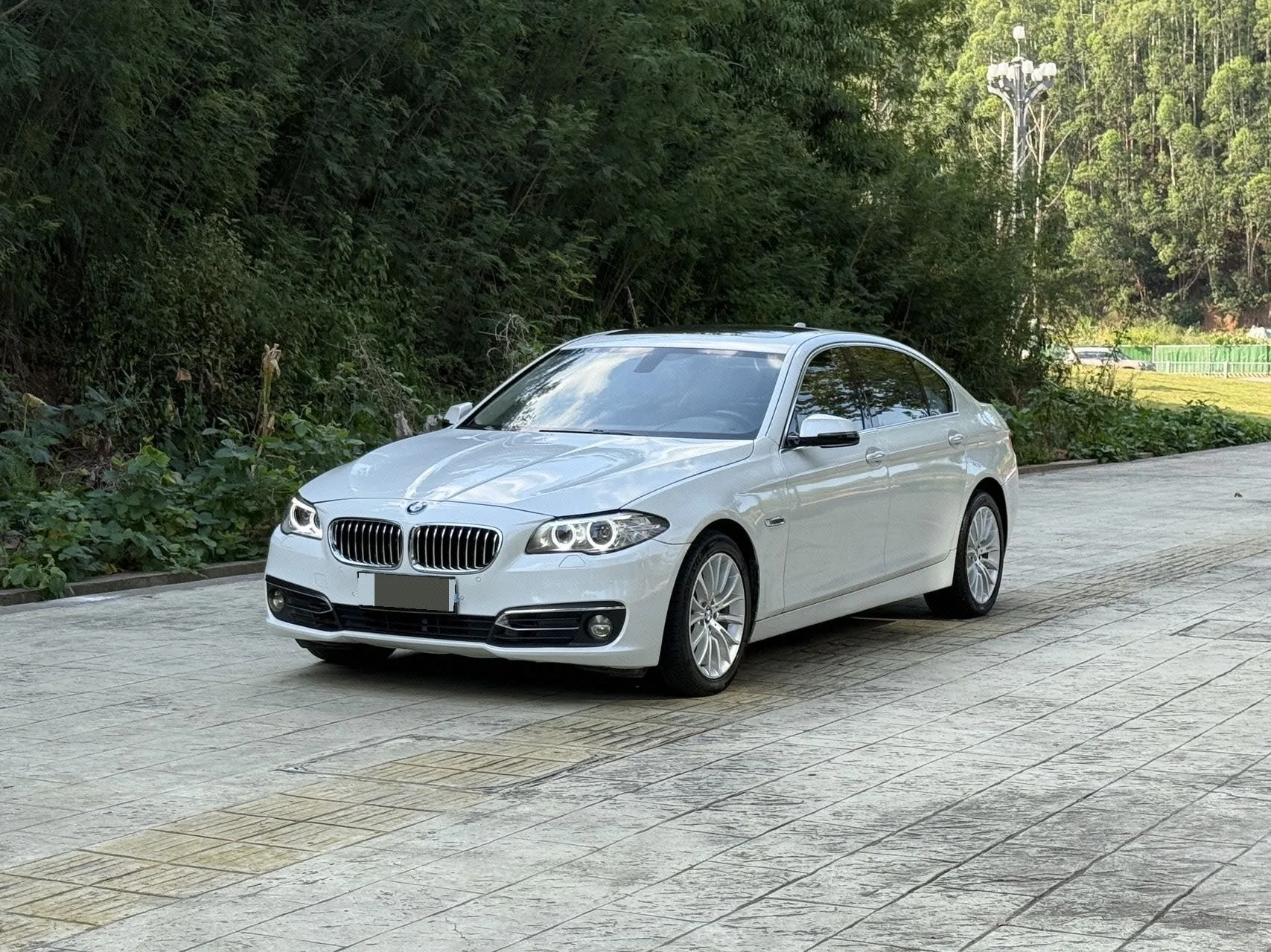 2014 BMW 5 Series 525Li Luxury Design Package