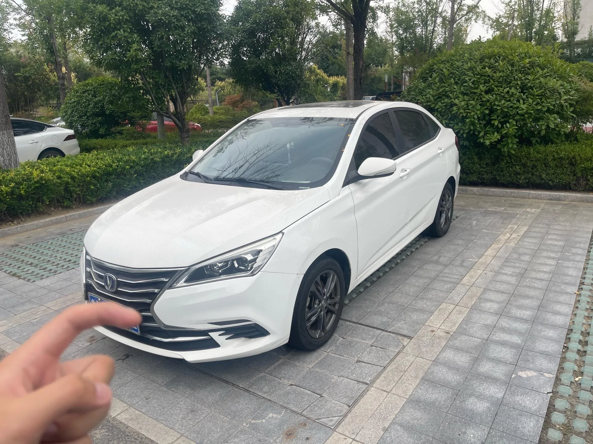 Changan 2019 Eado DT 1.6 Comfort Edition, Manual Transmission