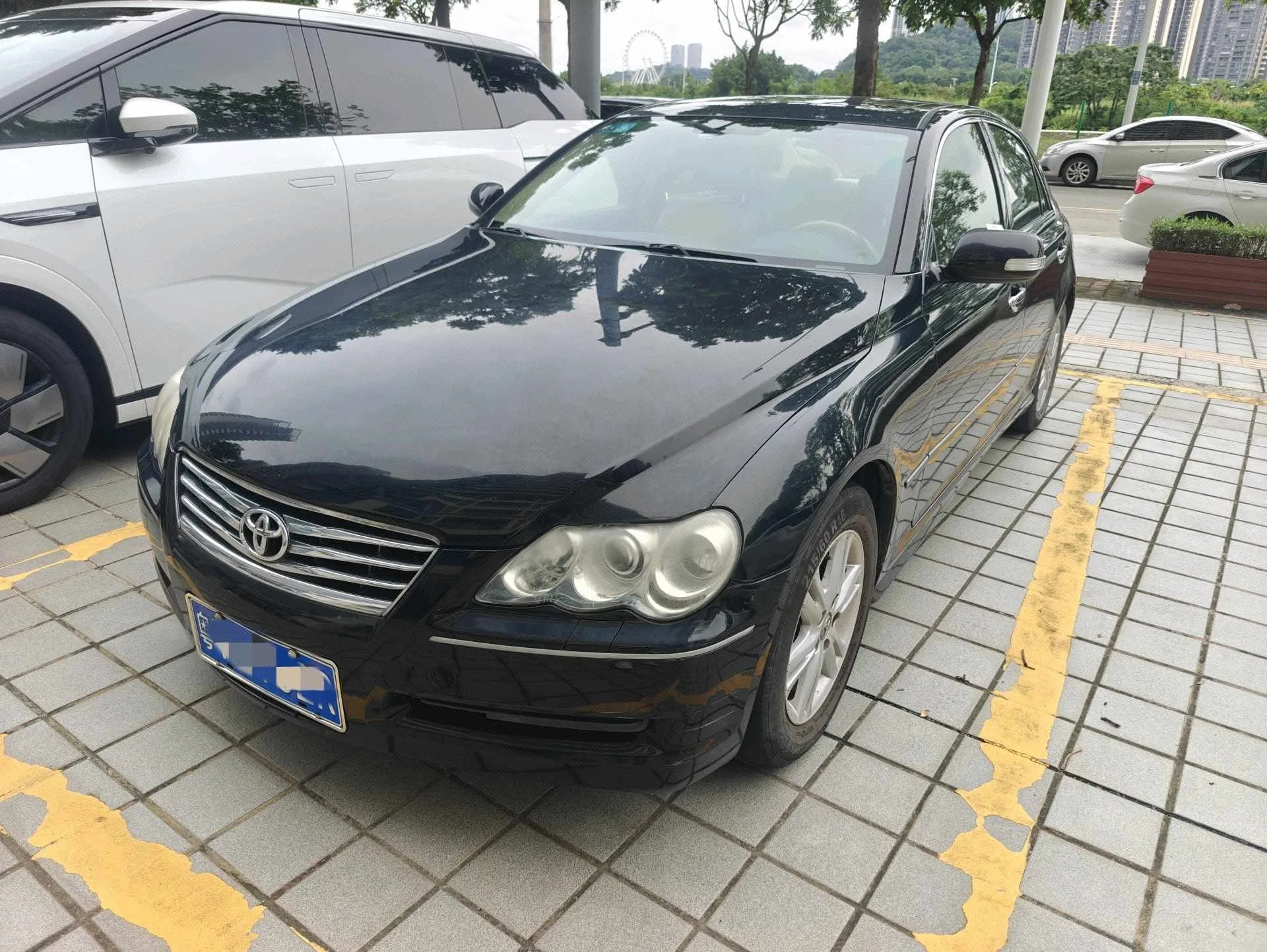 Reiz 2008 2.5S Special Edition