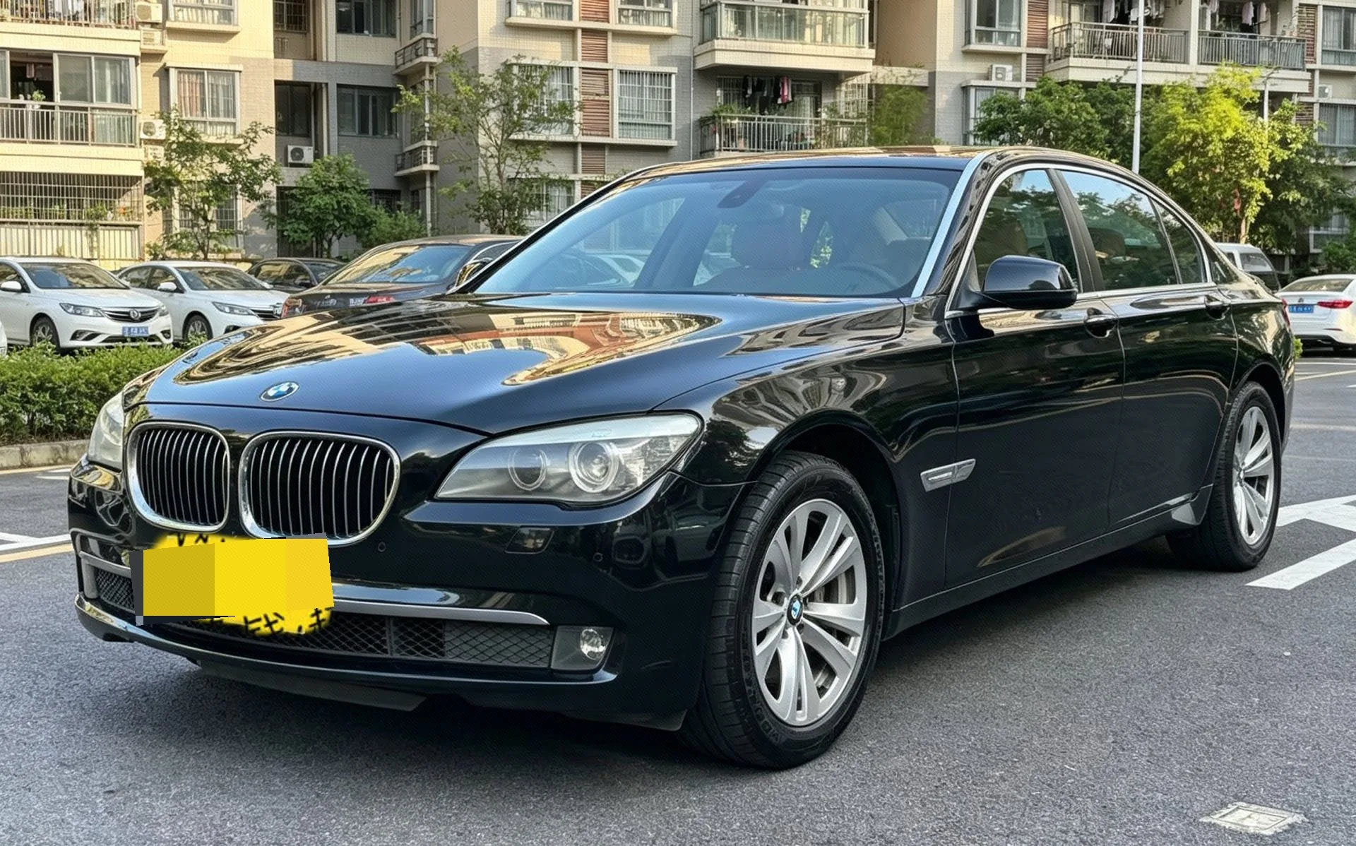 2011 BMW 7 Series 730Li Elegance