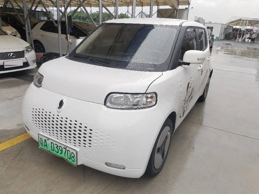 Euler White Cat 2020 Model, 360 km, Luxury Edition