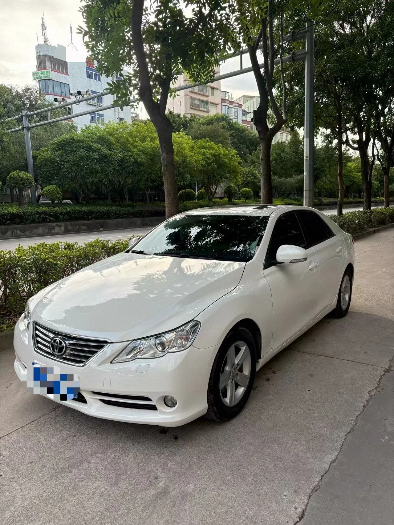 Reiz 2010 2.5V Fengdu Elite Edition