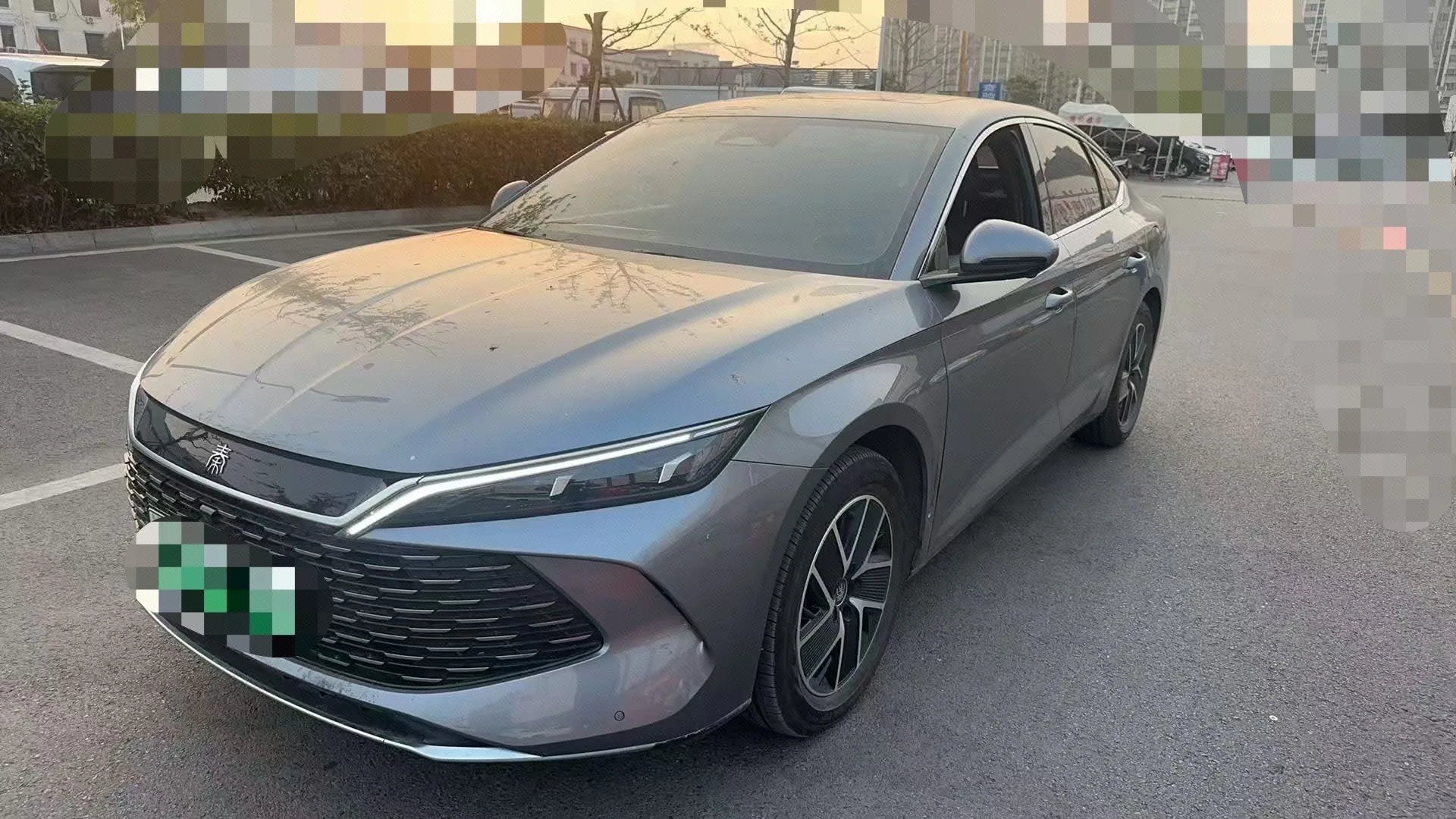 Qin L 2024 DM-i 120KM Leading Edition