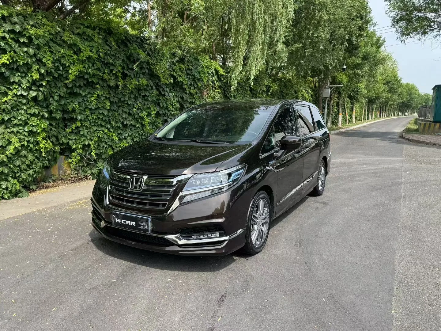 Elysion 2019 2.0L Hybrid Luxury Edition