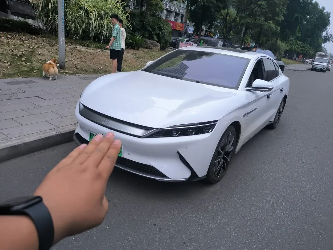 Han 2020 EV AWD High Performance Flagship Edition