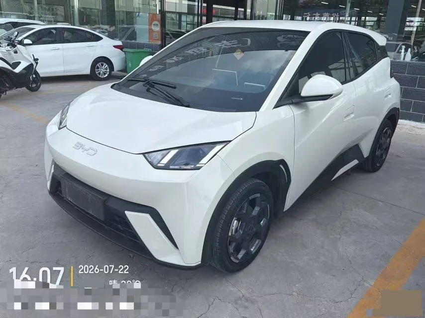BYD 2025 Seagull 305km/h Vitality Edition Automatic