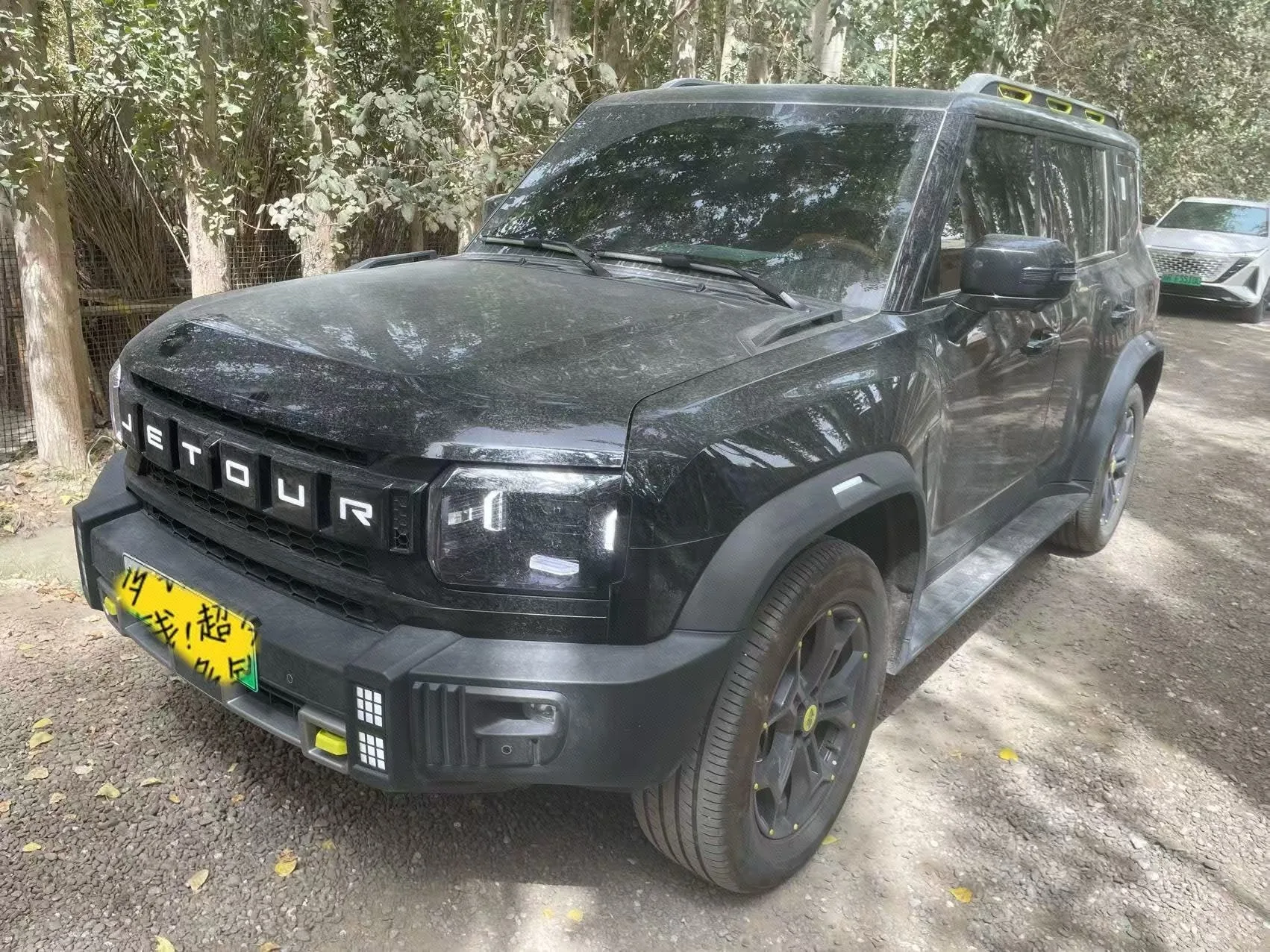 Jetour Mountain & Sea T2 2024 C-DM 129KM Forest Edition