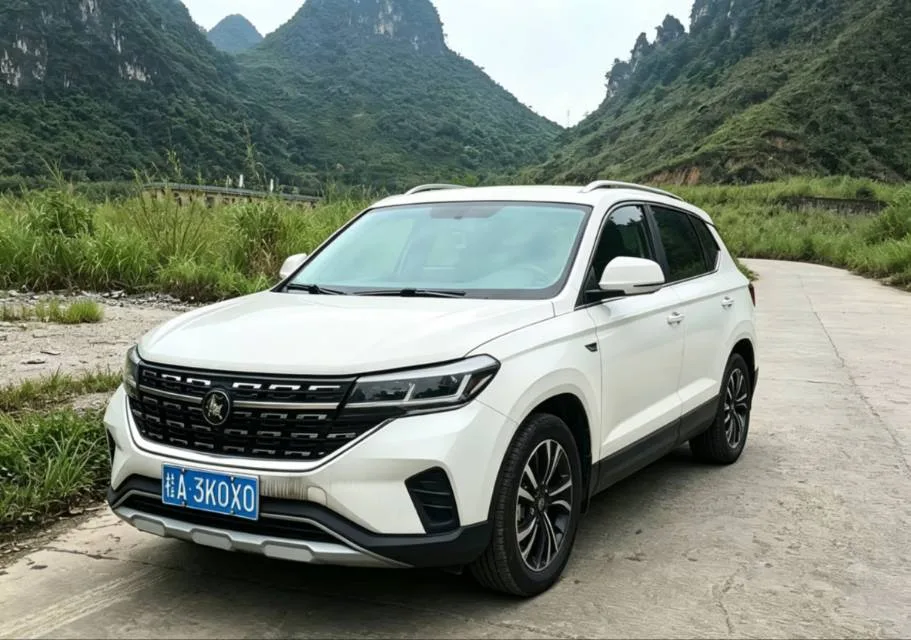 2021 Fengxing T5 1.5T Automatic Comfort Edition
