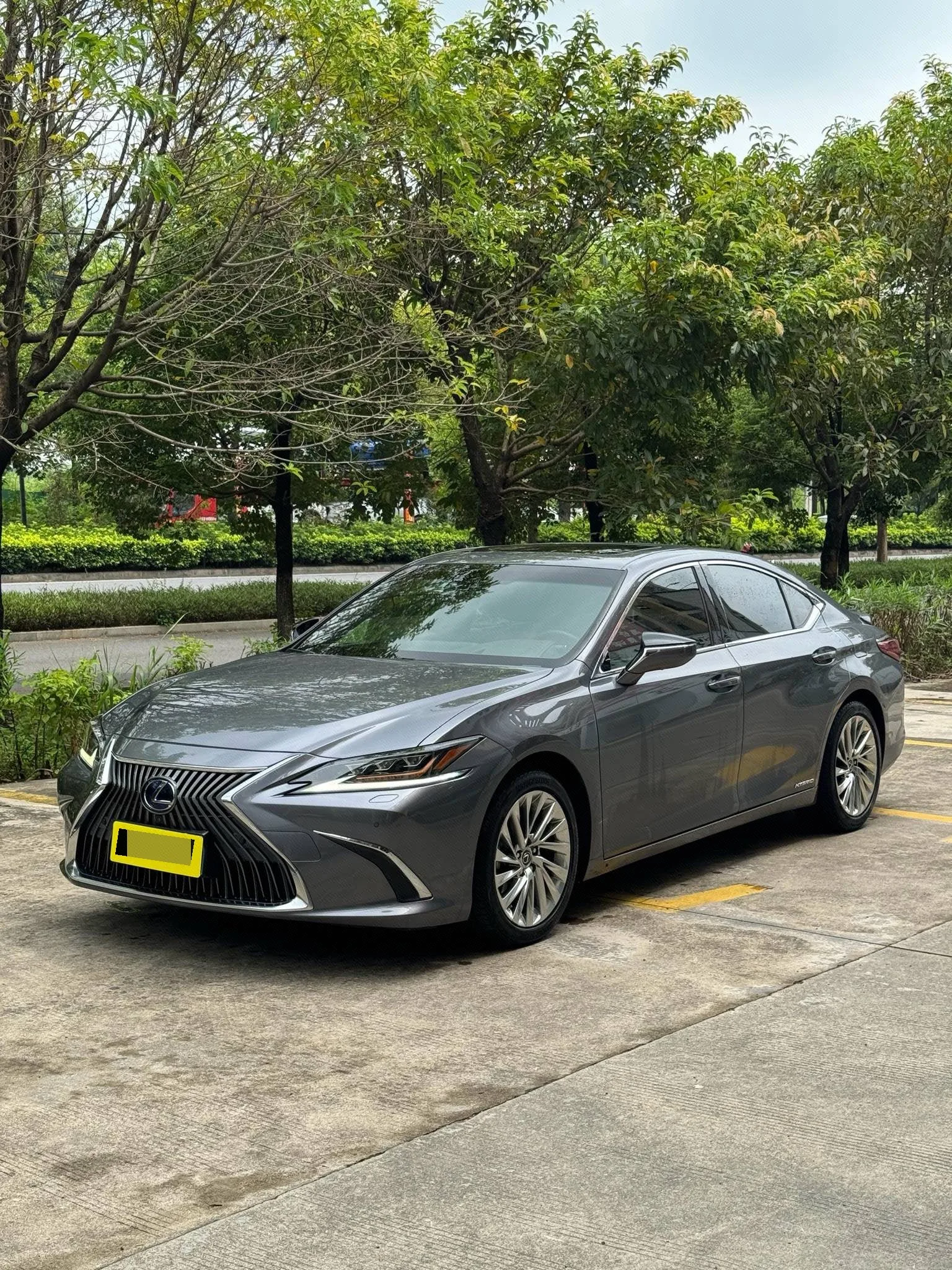2020 Lexus ES 300h Executive Edition