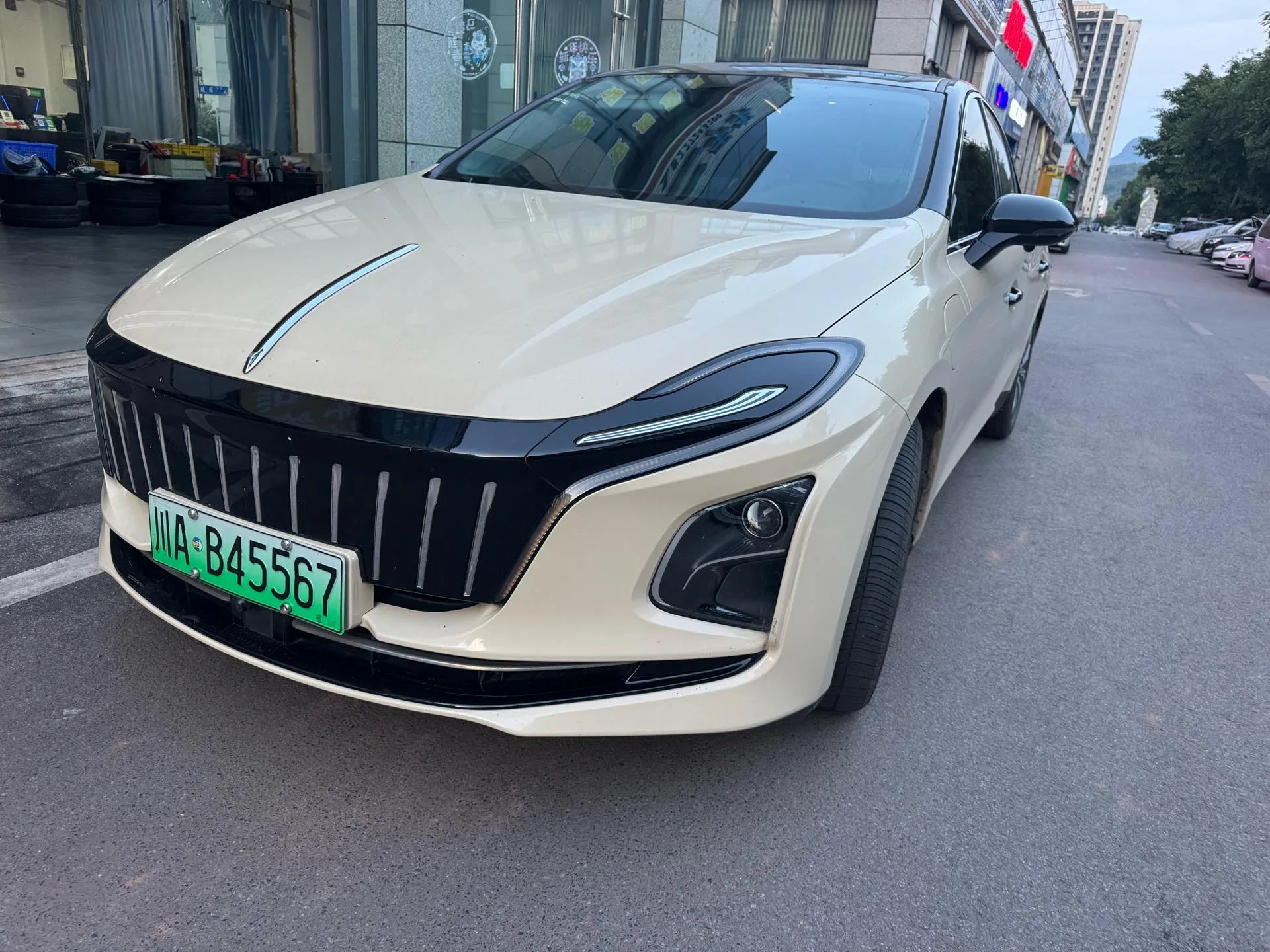 Hongqi E-QM5 2022 Model, 431km Charging Enjoyment Edition