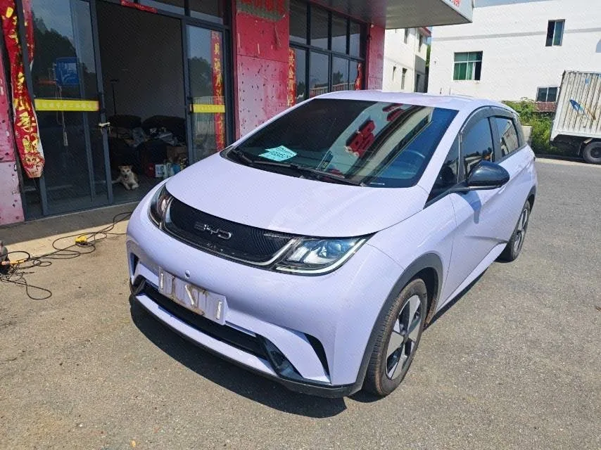 BYD 2023 Dolphin 420km Fashion Edition Automatic