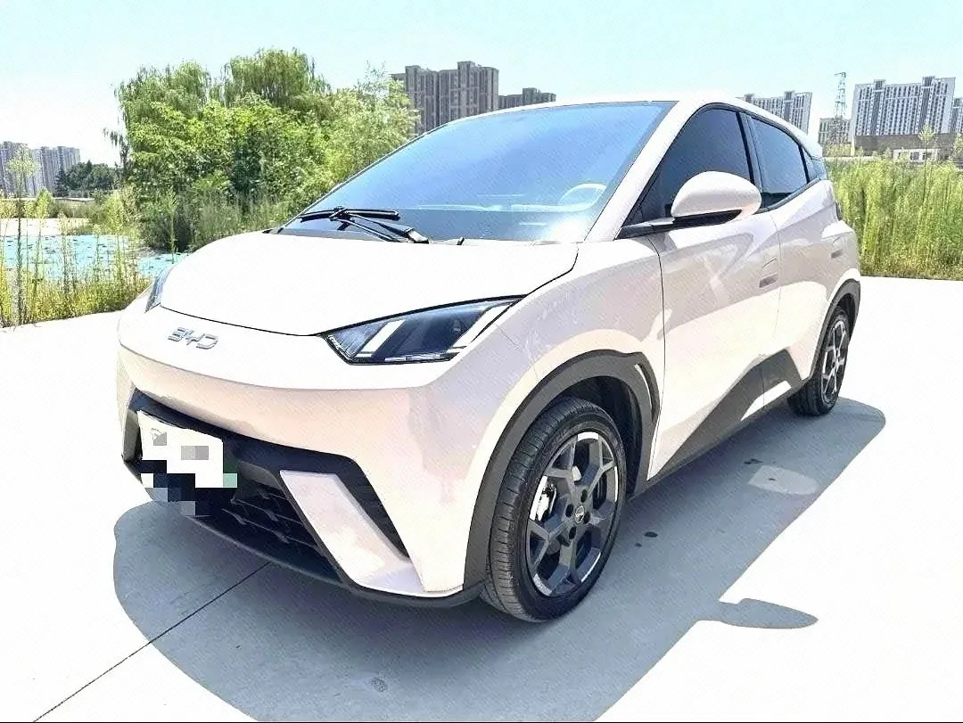 BYD 2025 Seagull 405km/h Flying Edition Automatic