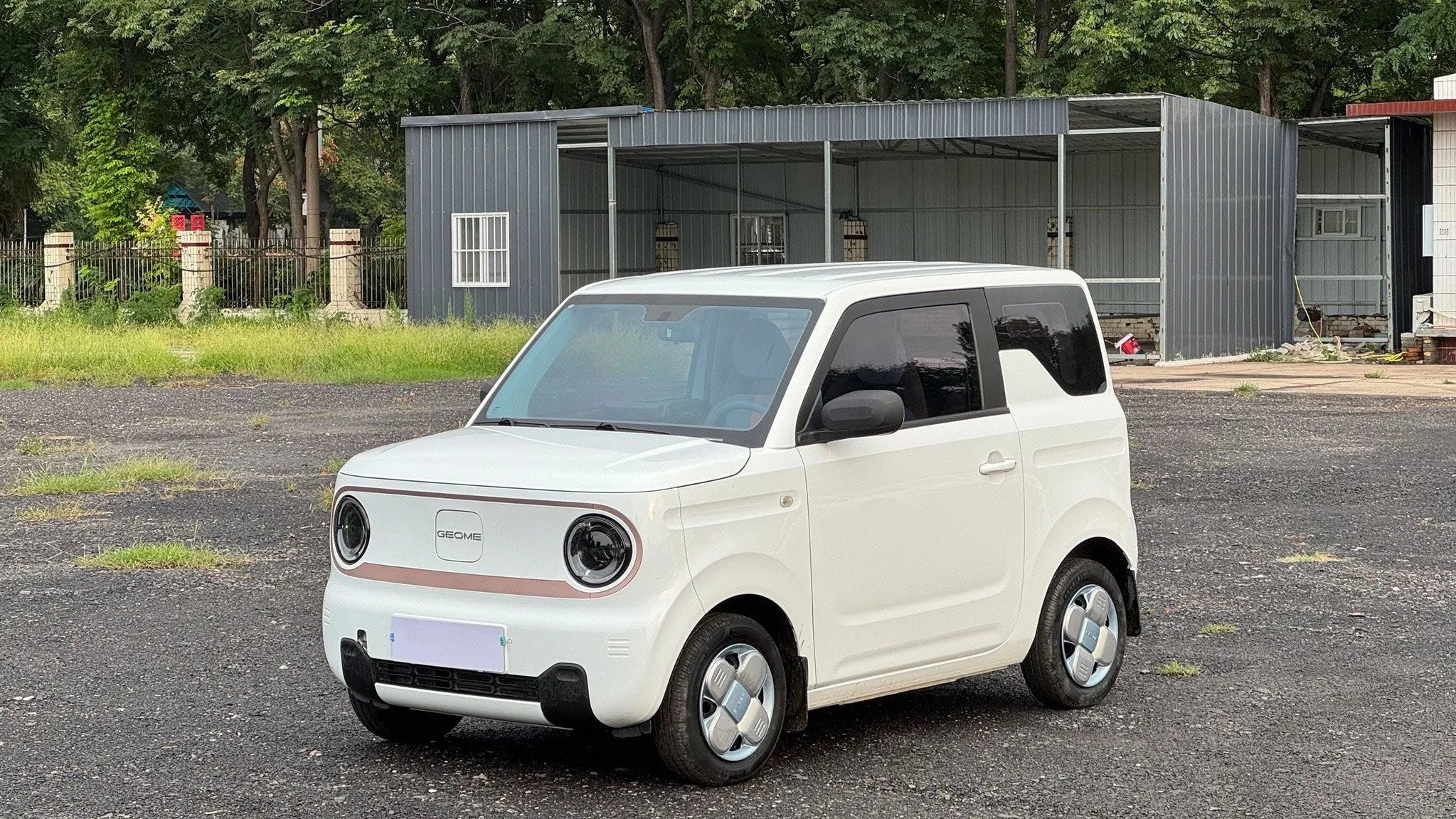 Panda 2024 Panda Mini 200km Endurance Bear