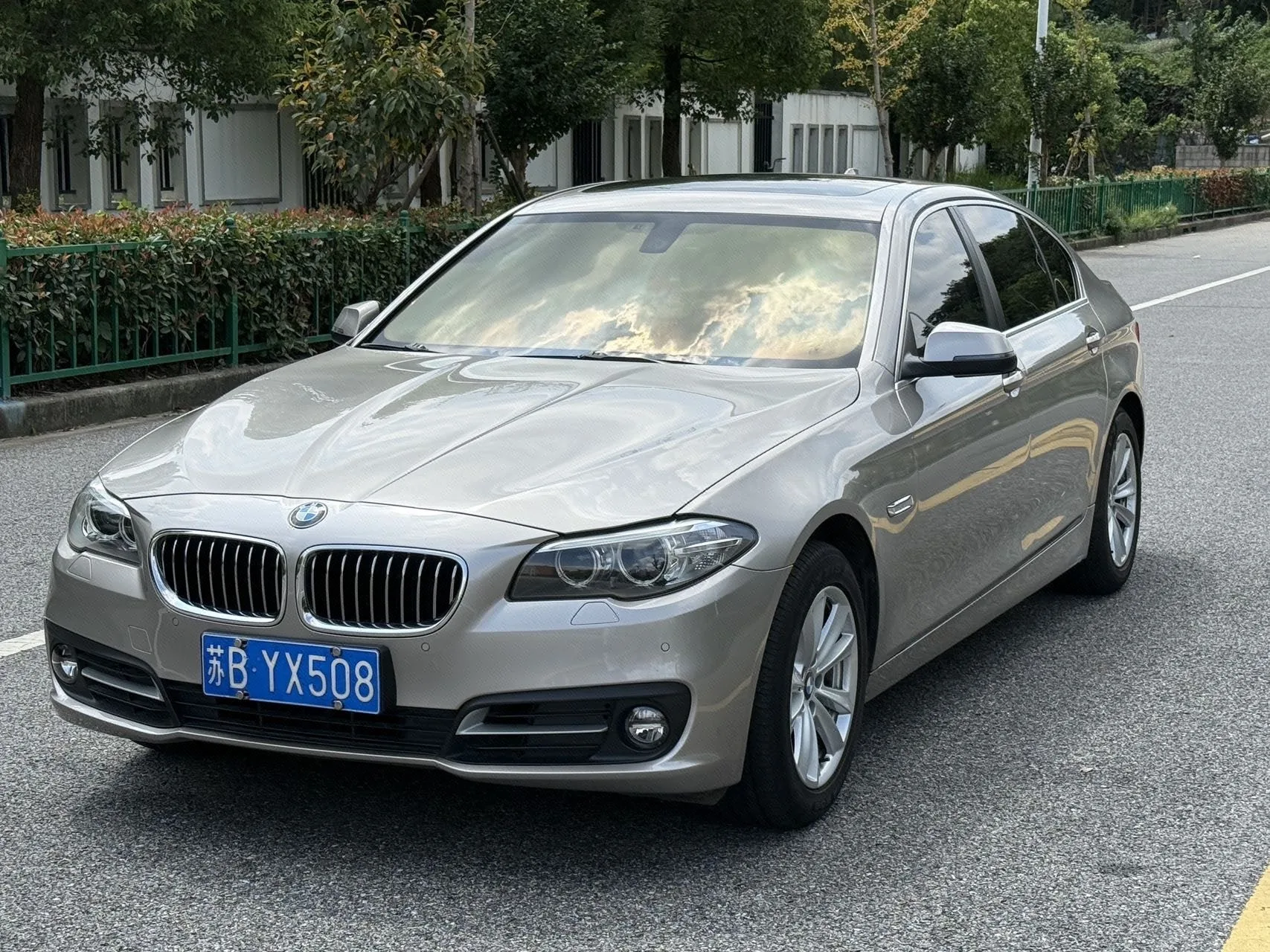 2014 BMW 5 Series 520Li Elegant Edition