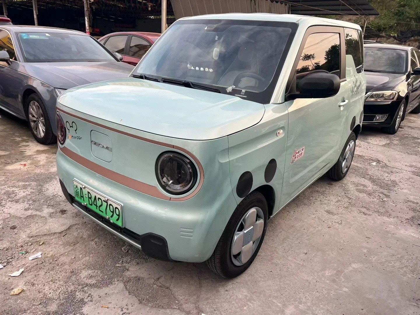 Panda 2024 Model 200km Panda Gokart