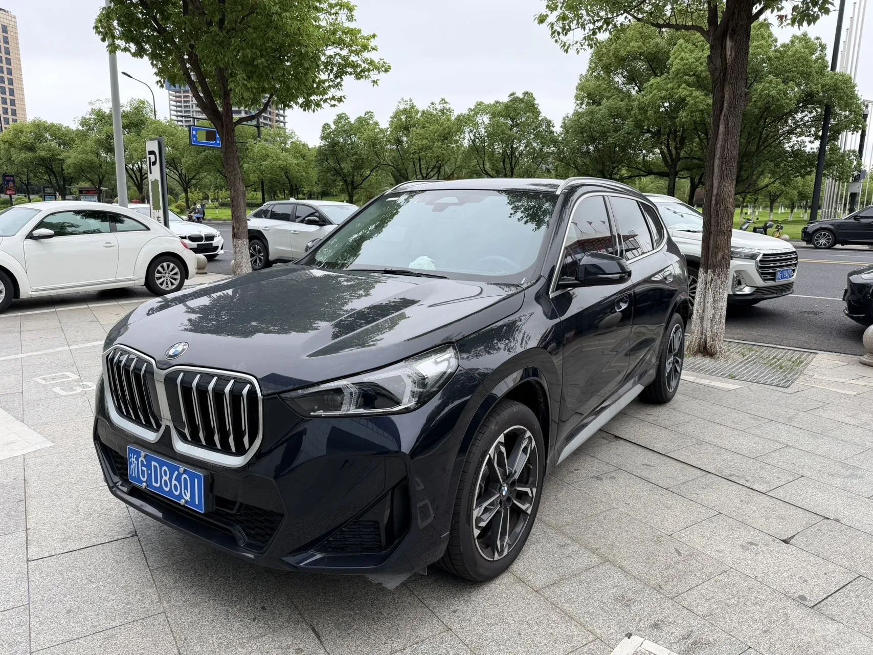 BMW 2025 X1 sDrive25Li 2.0T X Design Package Automatic