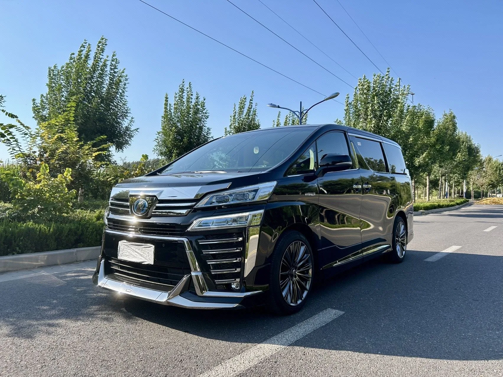 Weilfa 2020 2.5L Hybrid Premium Edition