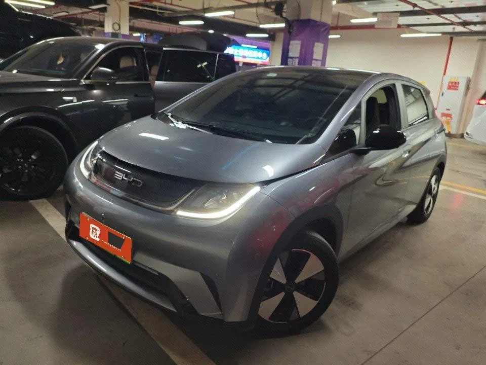 BYD 2023 Dolphin 420km Freedom Edition Automatic