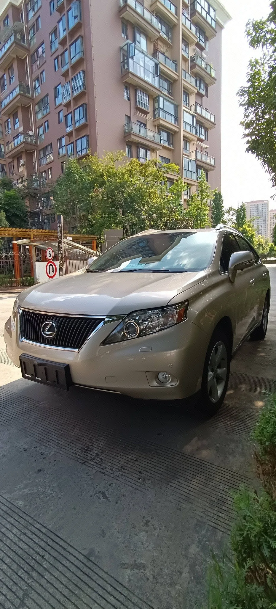 Lexus RX Classic 2011 270 Elegant Edition