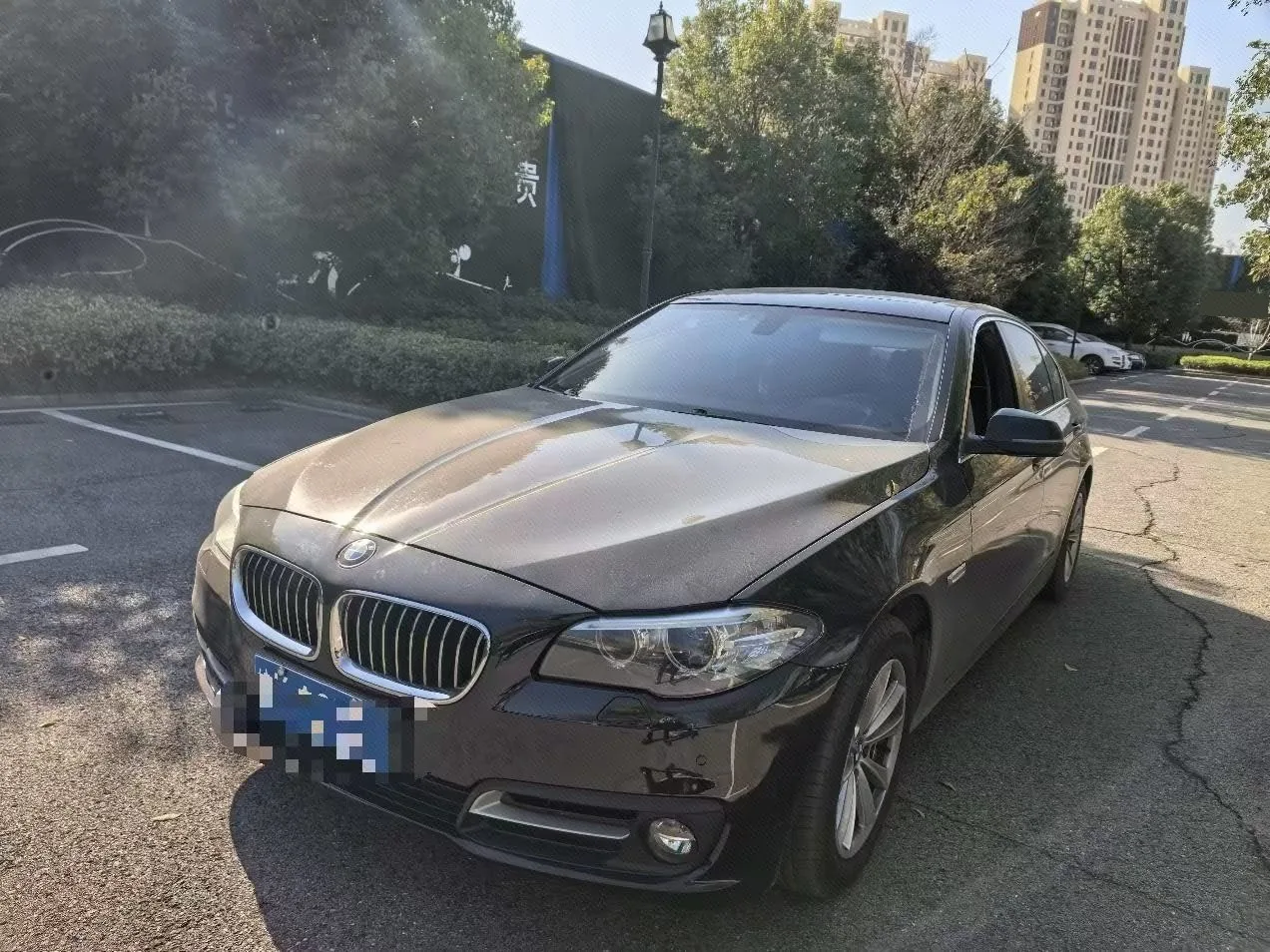 BMW 5 Series 2017 520Li Elegant Edition