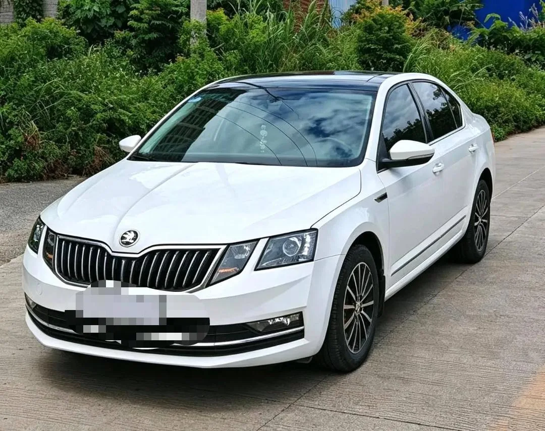 Octavia 2019 TSI230 DSG Smart Luxury Edition (National V Emission Standard)