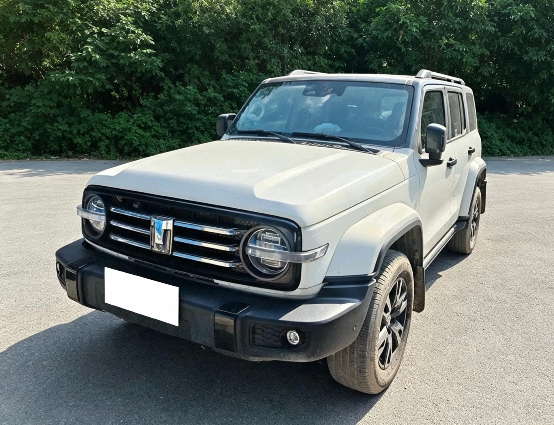 Tank 300 2024 Model 2.0T Crossover