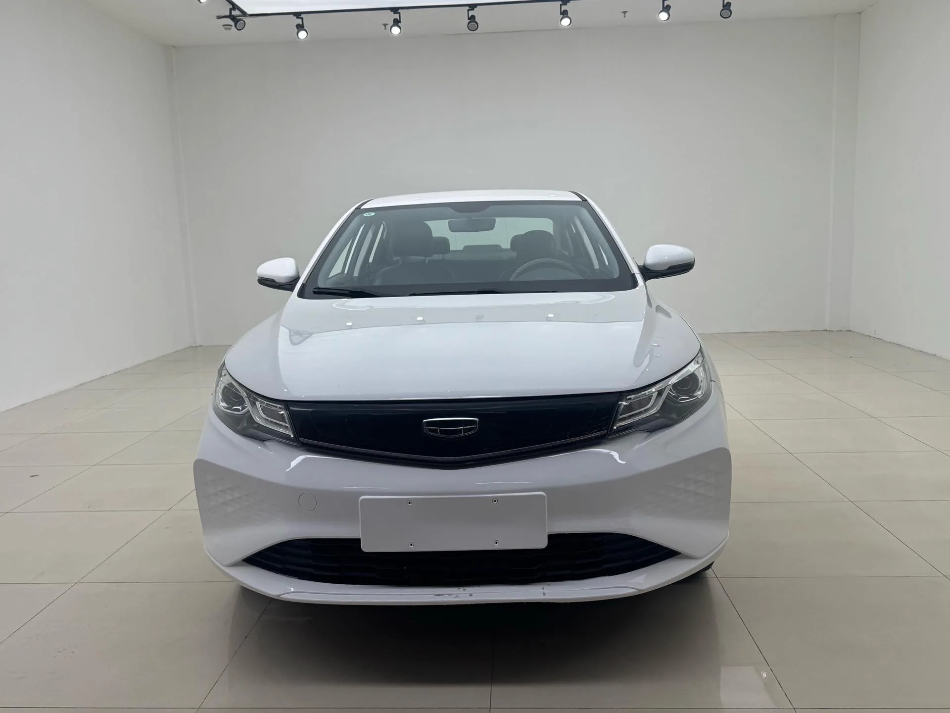 Emgrand New Energy 2022 EV Pro Ride-Hailing Edition