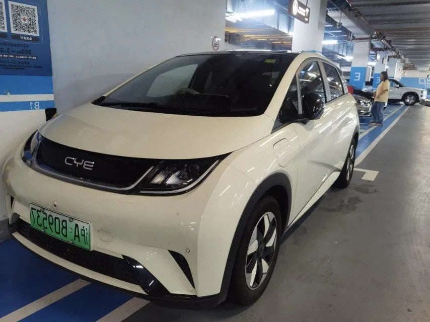BYD 2023 Dolphin 420km Fashion Edition Automatic