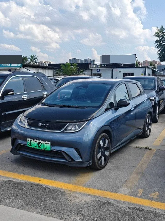 BYD 2025 Dolphin 520km/h Knight Edition Automatic