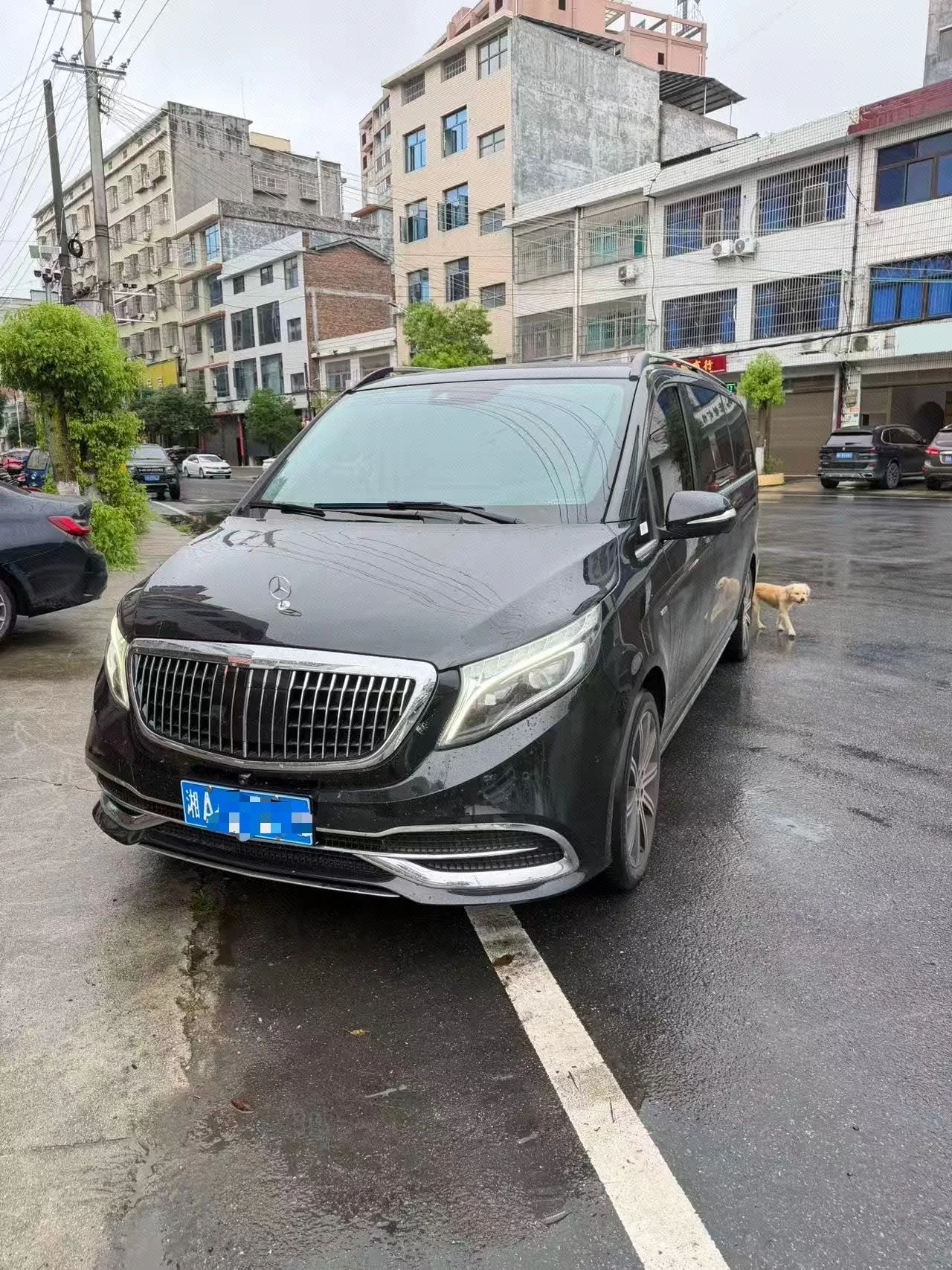 Mercedes-Benz V-Class 2022 V 260 L 2.0T Luxury Edition Automatic
